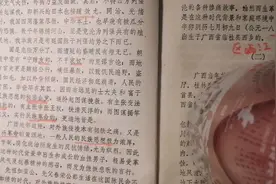 李宗仁回忆录（三）清朝专制腐败，乱党群起