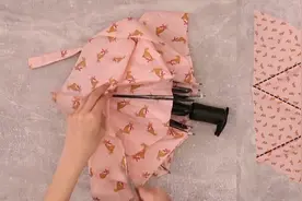 家里骨架坏的伞不要扔，拆开剪成三角形拼到一起，简单实用又环保视频封面