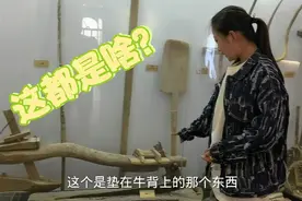 粉丝讲述知青下乡，50年代远去的青春岁月，到底啥样令人难以忘怀视频封面