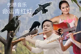 优美纯音乐分享《命运青红灯》真实的故事场面，感动人心，悲伤。