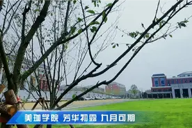 孝感临空区璀璨明珠：美珈职业学院，芳华初露，九月开学！视频封面