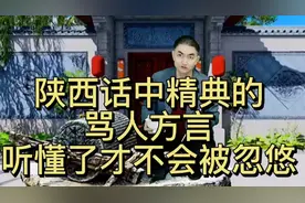 陕西话中精典的骂人方言，听不懂了还以为是夸你呢视频封面