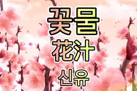 꽃물 花汁译中文 望歌迷 符合原意美化歌词 符合韩文节奏的中文版