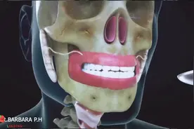 人体就像是一台非常复杂精密的仪器，各器官都在有条不紊的工作！视频封面