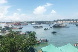 搞事情督察组一行12人亲临防城港海鲜市场视察工作…视频封面