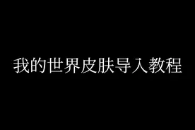 我的世界皮肤导入教程