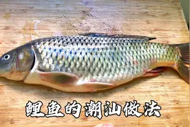 潮汕人会吃鱼在广东有名的，今天分享鲤鱼的潮汕做法，酸咸开胃
