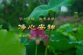 五音疗疾｜几首能瞬间让人静下心来的音乐，《忘尘谷》《一袖云》