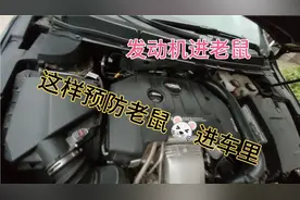 农村老鼠特别多，小伙教你如何预防老鼠进车里，简单又实用视频封面