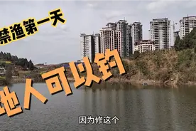 南充最奇葩的事，禁渔期，一个多年无人管理的塘本地人才可以钓视频封面