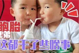 你们的童年都干些什么？双胞胎兄弟挖泥抓蝴蝶玩虫子一样不落视频封面