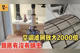 空调滤网到底有没有螨虫？显微镜放大2000倍我们求证，微观世界视频封面