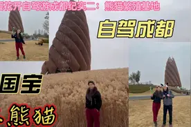春暖花开自驾游成都，到大熊猫繁殖基地近距离看大熊猫。视频封面