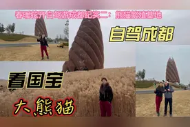 春暖花开自驾游成都，到大熊猫繁殖基地近距离看大熊猫。视频封面
