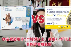 猫咪驱虫药大宠爱升级版妙宠爱，宠物医生给大家详细讲解如何选？视频封面