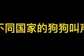 不同狗狗的叫声视频封面