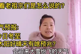 天气预报：今日冬至，大太阳好晴天，有啥预兆？看看农谚是咋说的视频封面