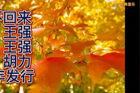 【经典音乐】王强 — 秋天不回来
