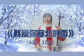 二胡演奏《我爱你塞北的雪》（A调  37弦）视频封面