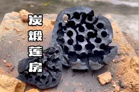 古法的智慧之炭煅莲房，她的亲戚人实在来太多太多了，真是崩溃呀视频封面