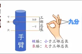长脉与短脉视频封面