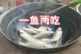到了吃鲜鱼的季节，10块钱买两斤半的小鲫鱼，一鱼两吃，老香了视频封面