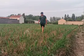 玉米喷除草剂后下雨，这两种情况不需要再重新喷，以免费工又费钱视频封面