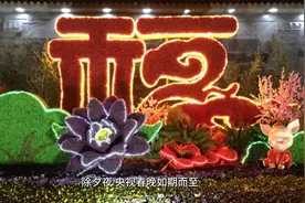 不愧是沈腾马丽，春晚小品《坑》爆笑，讽刺依旧是喜剧最大魅力视频封面