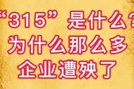 “315”到底是什么？为什么那么多企业遭殃？我写给你看视频封面
