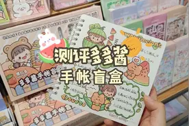 提拉多手帐盲盒测评，配套的10张贴纸太可爱啦，我能抽中什么呢？