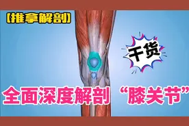 全面深度解剖“膝关节”【推拿解剖】视频封面