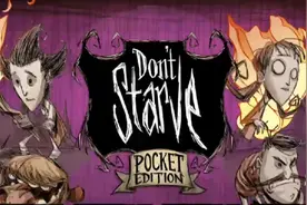 zn我那是windyzjzj视频封面