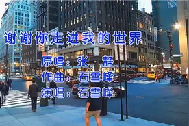 《谢谢你走进我的世界》就算我们此生没结果我依然深深爱你在心窝视频封面