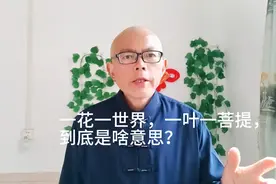 一花一世界，一叶一菩提，到底是啥意思？视频封面