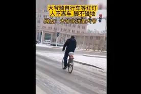神奇操作:大爷自行车上等红绿灯双脚不离地视频封面