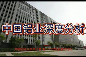 中国铝业深度分析