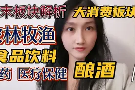 大消费板块走势分析：农林牧渔，食品饮料，医药，医疗保健，酿酒视频封面