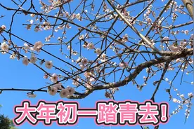 北京夫妻在中山：大年初一踏青游园！人好多，随镜看南方春色！视频封面