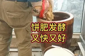 豆饼、花生饼、菜籽饼如何发酵？这样又快又好，简单实用还不臭视频封面