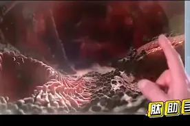 肽修复细胞，改善细胞，激活细胞