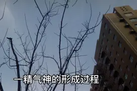 人体小宇宙每个人都有一个精气神篇，一精气神的形成过程视频封面