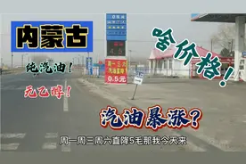汽油暴涨？辽宁老丁跨省加纯汽油！啥价格？谈谈内蒙古加油感受！视频封面