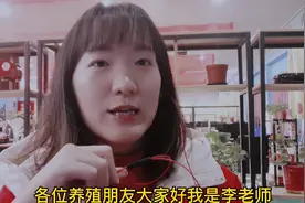 鸡采食量下降，嗉囊胀气，喂一点醋好了，神奇