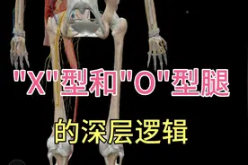 思考一下：你的腿型是由什么决定的？