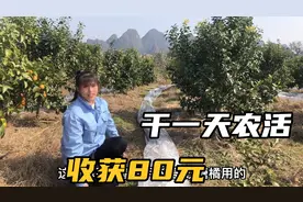 广西27岁女孩在家照顾90岁养父，干一天活80元，辛苦却知足视频封面