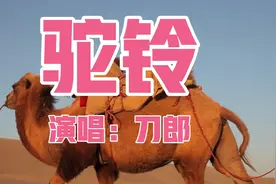 终于找到刀郎《驼铃》真正的原唱，深情沧桑，唱出浓浓的战友情。视频封面