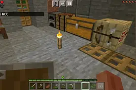 MC生存教学7：发现煤炭视频封面