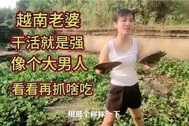 一万块娶回个越南姐姐，干活像个女强人，看抓啥东西吃，真牛视频封面
