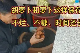 胡萝卜和萝卜都这样保存，不烂、不糠，放几个月没有问题视频封面