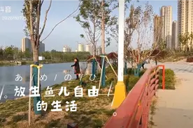 给鱼儿自由生活的人们！视频封面